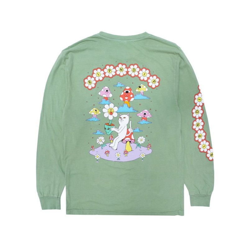 画像1: RIPNDIP（リップンディップ）Plant Based Long Sleeve (Pistachio)  (1)