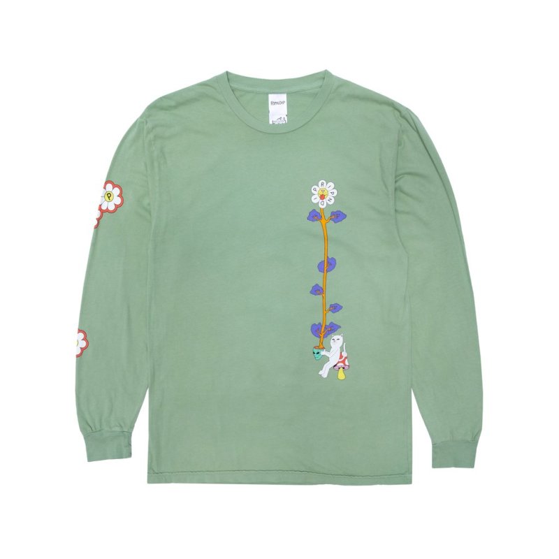画像2: RIPNDIP（リップンディップ）Plant Based Long Sleeve (Pistachio)  (2)