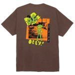 画像1: OBEY(オベイ) You Have To Have A Dream T-Shirt Pigment (Java Brown) (1)