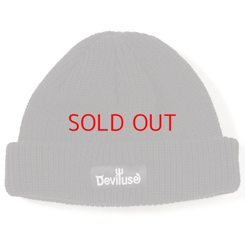 画像1: Deviluse (デビルユース) Logo Beanie(Black) (1)