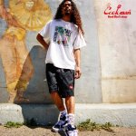 画像15: COOKMAN(クックマン) Chef Pants Short Front Pocket Big Bear Black  (15)