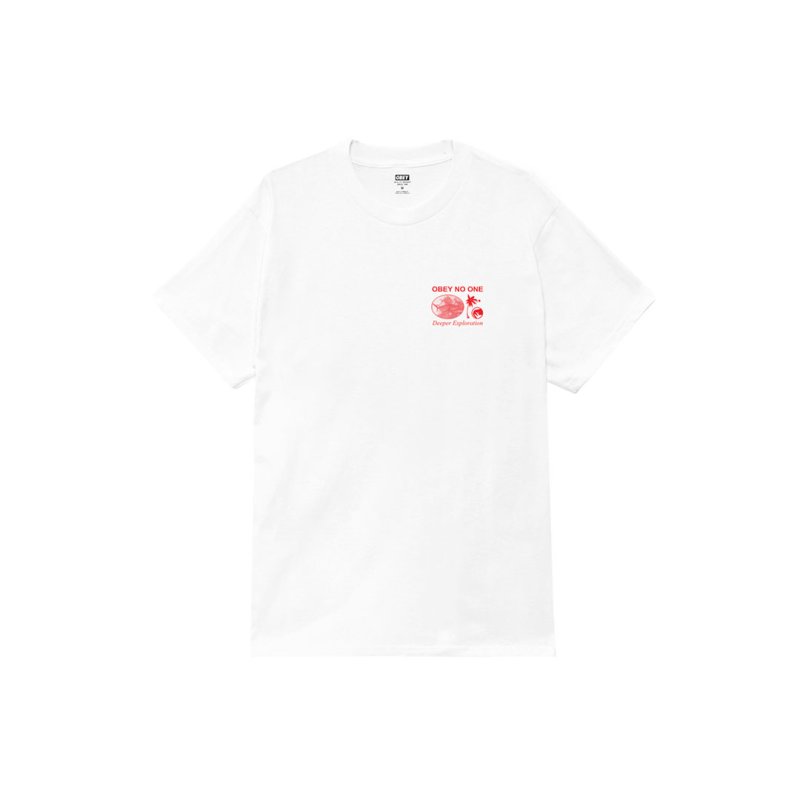 画像2: OBEY DEEPER EXPLORATION CLASSIC T-SHIRT (2)