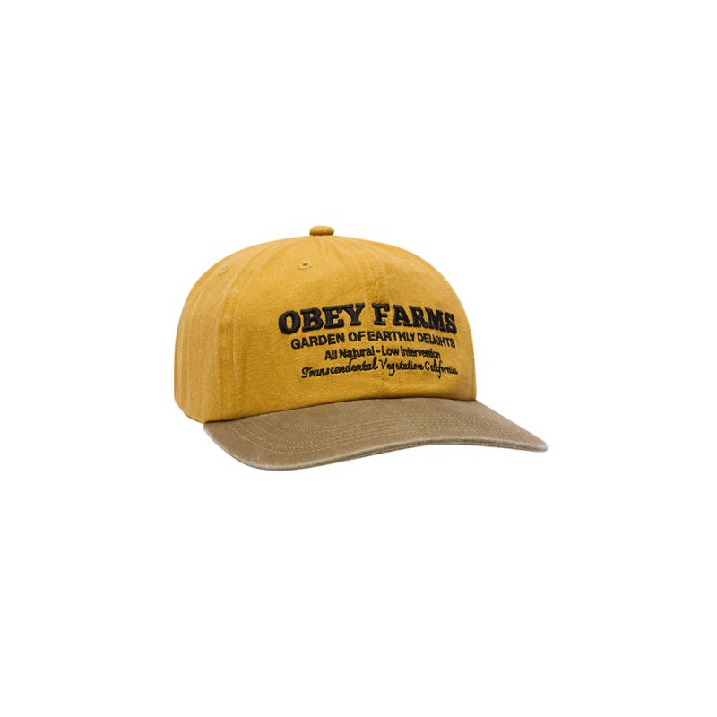 画像1: OBEY FARMS PIGMENT STRAPBACK (1)