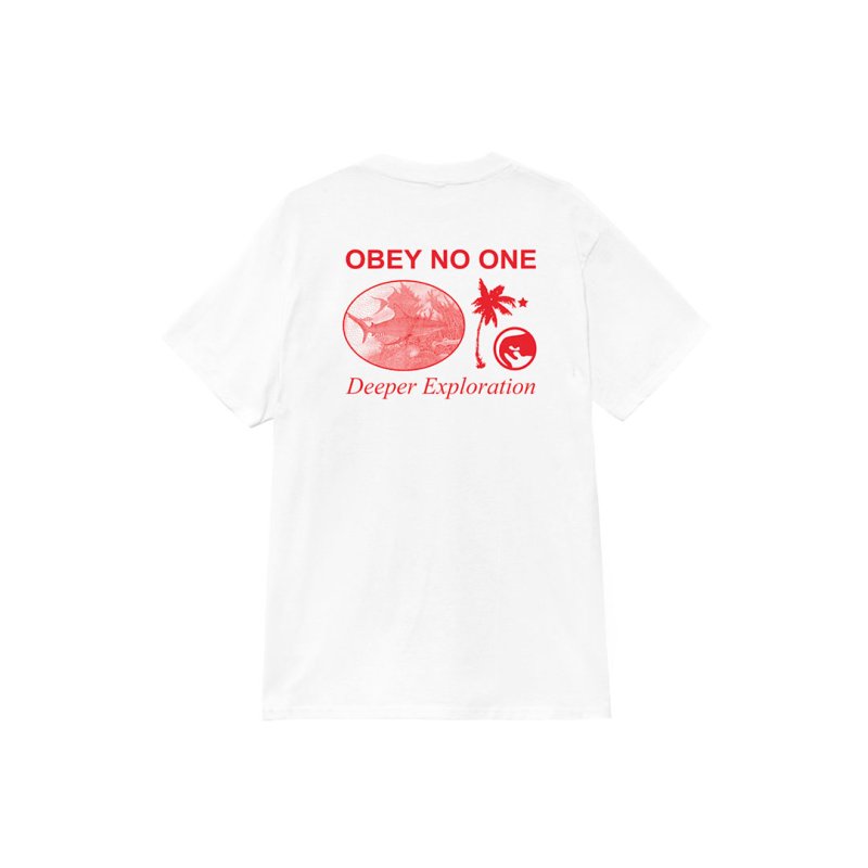画像1: OBEY DEEPER EXPLORATION CLASSIC T-SHIRT (1)